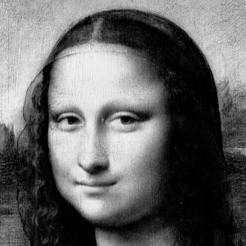 picture of cropped Mona Lisa