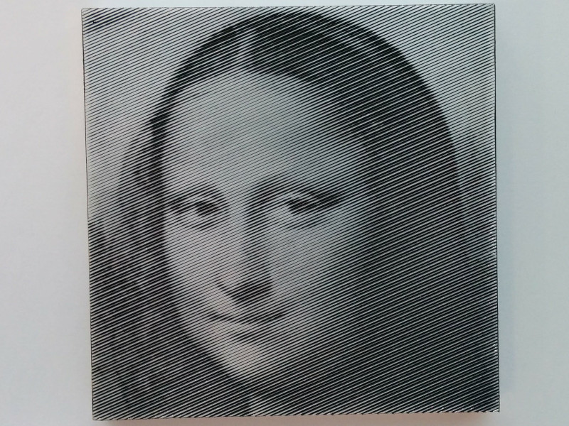 picture of Mona Lisa cut on aluminum (painted)
